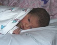 gal02.jpg (6852 bytes)